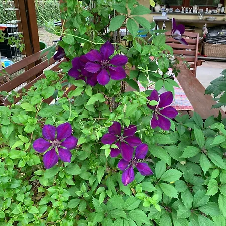 别墅 Na Bezdeku 俄斯特拉发